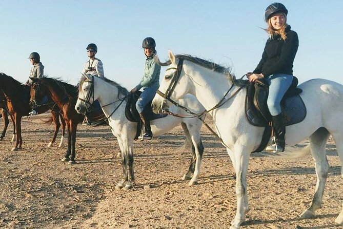 Horse Riding 1-Hour Adventure Trip With Transfer - Hurghada - From your Hurghada hotel to the riding center