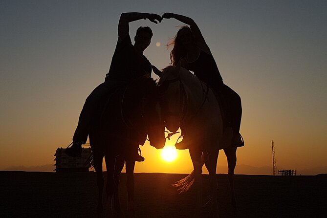 Horse Riding 1-Hour Adventure Trip With Transfer - Hurghada - Meeting the horses and getting ready