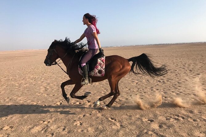 Horse Riding 1-Hour Adventure Trip With Transfer - Hurghada - One hour across Hurghada’s sandy trails