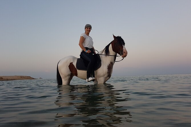 Horse Riding 2 Hours & Relaxation Turkish Bath & Sauna - Hurghada - Key Points to Know Before You Book