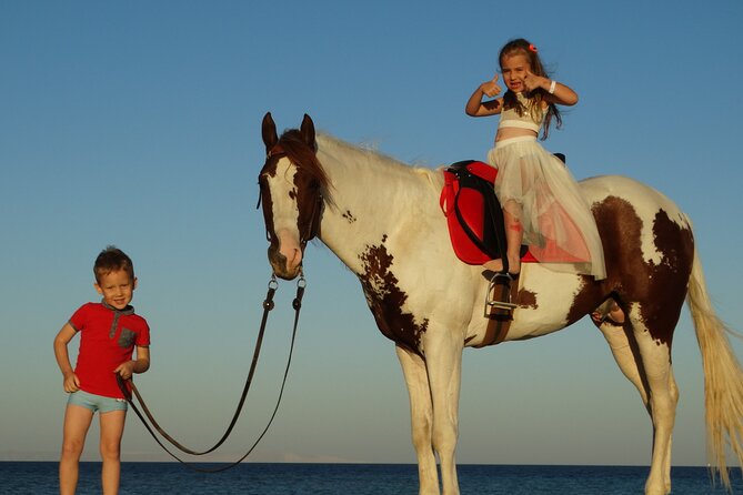 Horse Riding 2 Hours & Relaxation Turkish Bath & Sauna - Hurghada - What the Hotel Transfer Adds