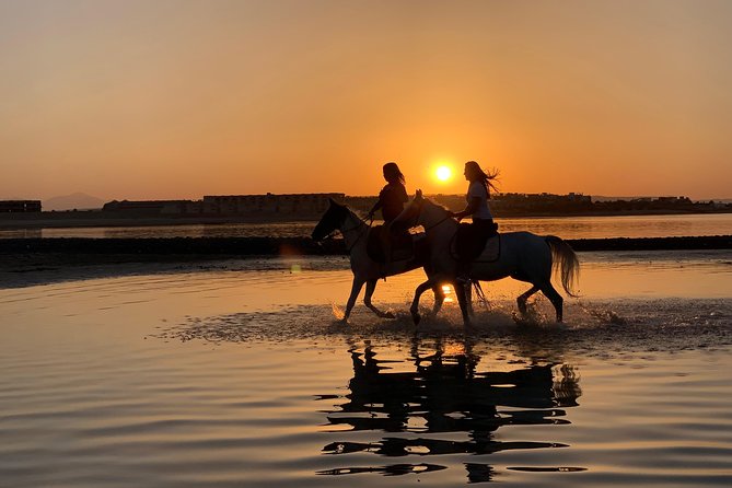 Horse Riding 3 Hours Beach, Desert, & Swimming By Horse in red sea - Hurghada - What the four-hour Hurghada outing really includes