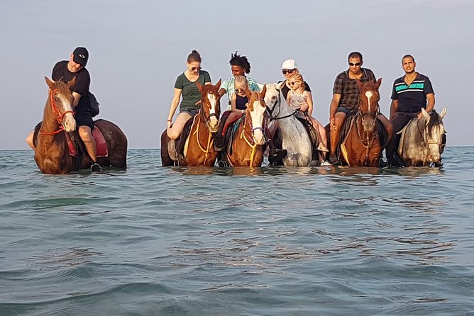 Horse Riding 3 Hours Beach, Desert, & Swimming By Horse in red sea - Hurghada - Hotel pickup and arrival at the stables