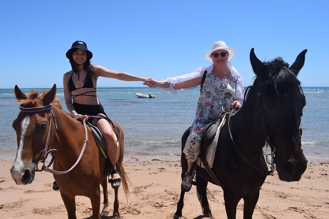 Horse Riding 3 Hours Beach, Desert, & Swimming By Horse in red sea - Hurghada - One hour across the desert