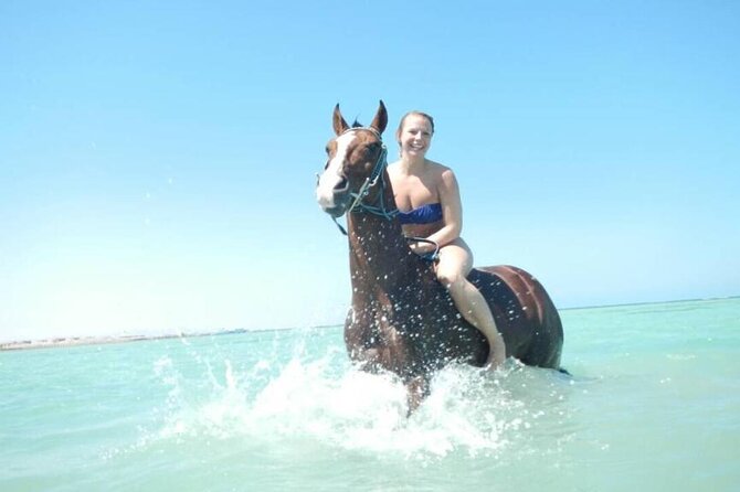 Horse Riding 3 Hours Desert Beach Swimming by horse in Hurghada - Starting at the stable near Hurghada