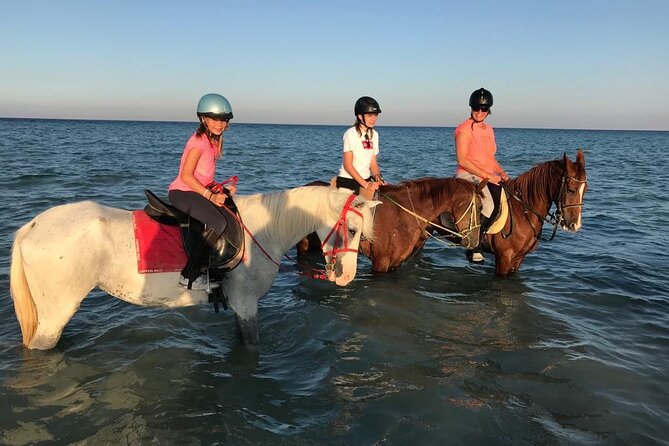 Horse Riding 3 Hours Desert Beach Swimming by horse in Hurghada - Booking details that matter