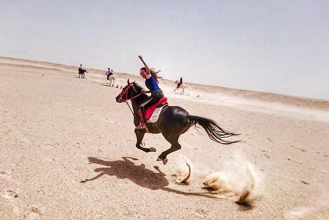 Horse Riding Adventure 2 hours sea and Desert - Hurghada - Entering the Red Sea on Horseback