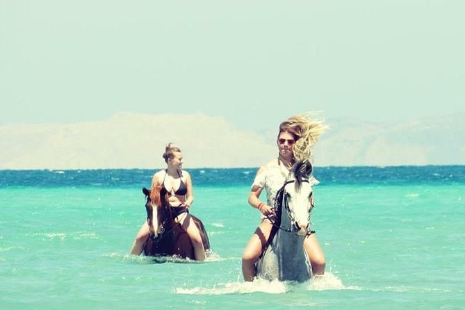Horse Riding Adventure 2 hours sea and Desert - Hurghada - Coaching, Helmets, and Safety