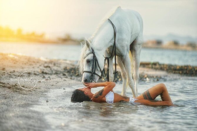 Horse Riding Adventure 2 hours sea and Desert - Hurghada - Photos, Refreshments, and the Human Touch