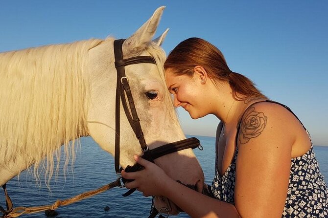 Horse Riding Adventure 2 hours sea and Desert - Hurghada - Is $26 a Good Deal?