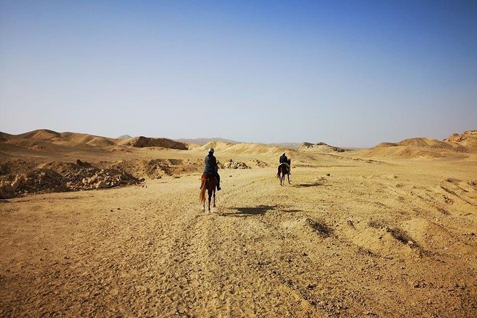 Horse Riding Adventure 2 hours sea and Desert - Hurghada - Who Will Enjoy This Ride Most?