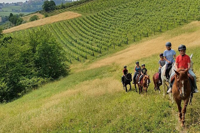Horse Riding Adventure in Langhe: Piemonte's Scenic Vineyards - At a glance