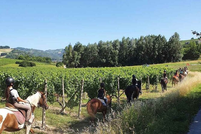 Horse Riding Adventure in Langhe: Piemonte's Scenic Vineyards - Why San Marzano Oliveto makes a good starting point