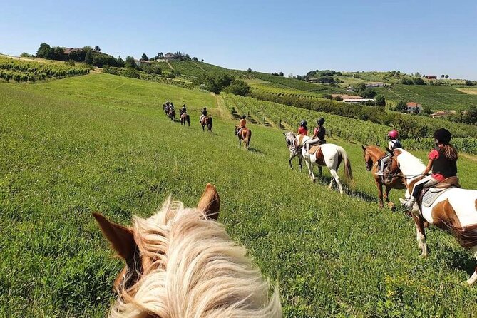 Horse Riding Adventure in Langhe: Piemonte's Scenic Vineyards - Choosing the two-hour horseback ride