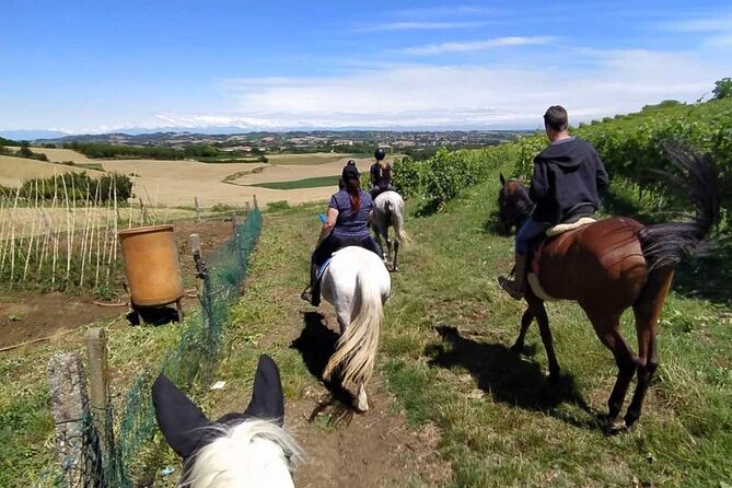 Horse Riding Adventure in Langhe: Piemonte's Scenic Vineyards - What beginner riders should expect