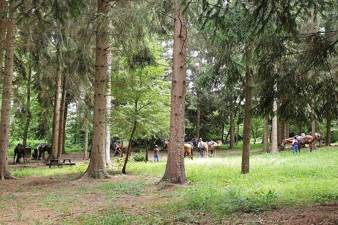 Horse Riding Adventure in Langhe: Piemonte's Scenic Vineyards - Horses, equipment, and clothing