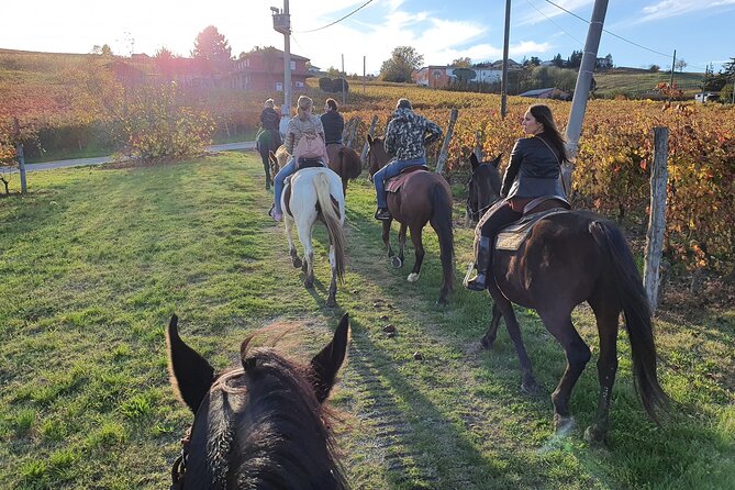 Horse Riding Adventure in Langhe: Piemonte's Scenic Vineyards - Is $54.44 good value?