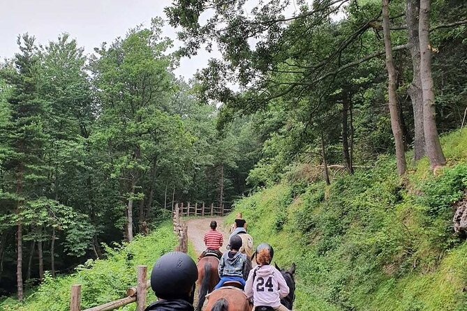 Horse Riding Adventure in Langhe: Piemonte's Scenic Vineyards - Who should book this ride