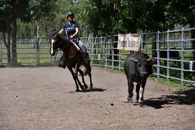 Horse Riding Adventure in the Outback - Why this feels different from a standard trail ride