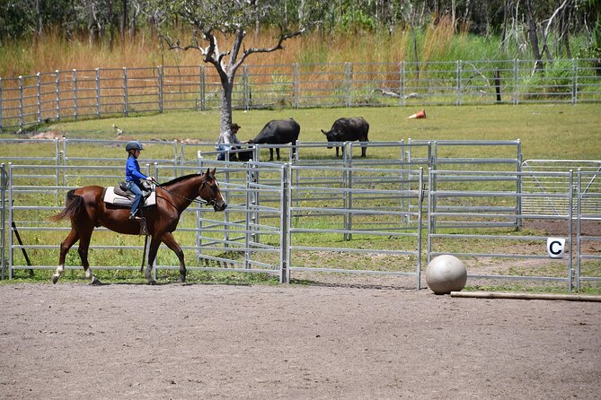 Horse Riding Adventure in the Outback - Starting at 8am in Virginia