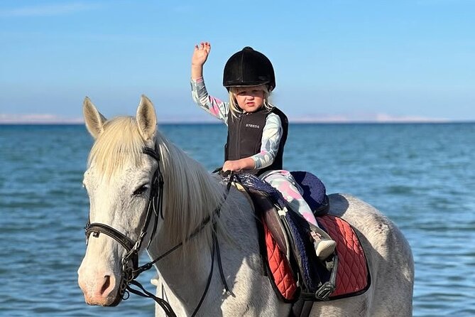 Horse riding Adventure on the Sea with Transfer in Hurghada - Key points before you book