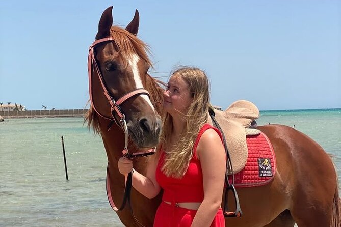 Horse riding Adventure on the Sea with Transfer in Hurghada - Who will enjoy this Hurghada horse ride