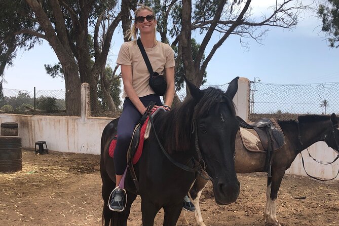 Horse Riding Agadir - Horses and instruction for first-time riders