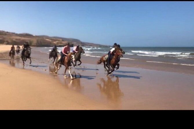 Horse Riding Agadir - What the guides and pickup add to the day