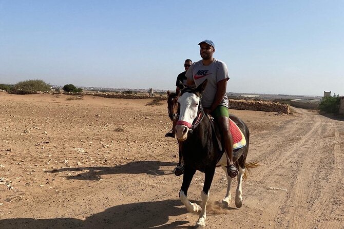 Horse Riding Agadir - Is $34.88 a fair price?