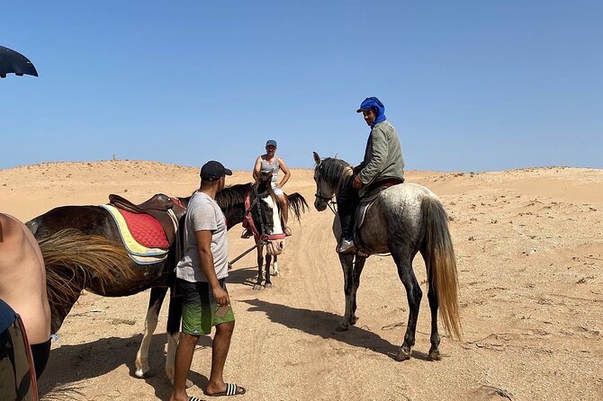 Horse Riding Agadir - Who will enjoy this Agadir horse ride?