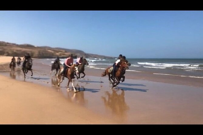 Horse Riding Agadir - Practical advice before you set off