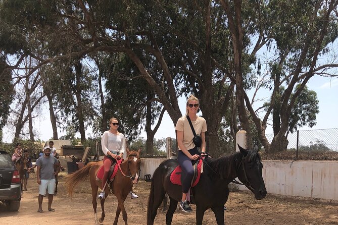 Horse Riding Agadir - Eucalyptus trees, sandy tracks, and river views