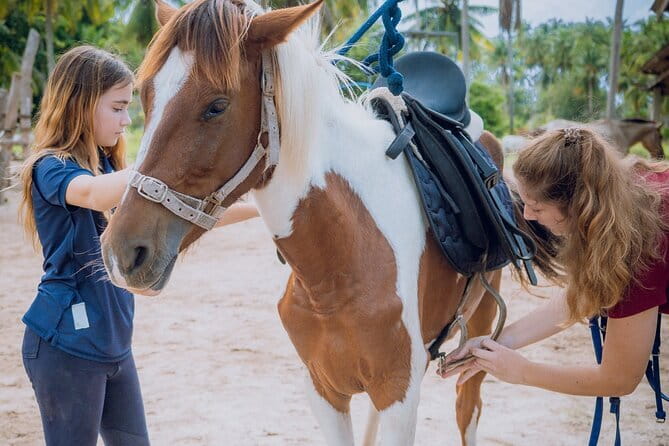 Horse Riding and Beach Trails on Koh Samui - Tropical gardens provide an easy start