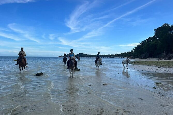 Horse Riding and Beach Trails on Koh Samui - Group size, pace, and the one-hour limit