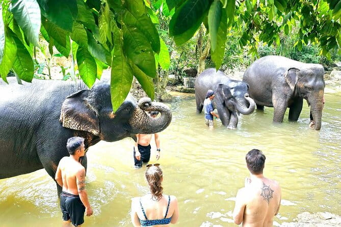 Horse Riding and Beach Trails on Koh Samui - Should you book the Oh-Hoo horse ride?