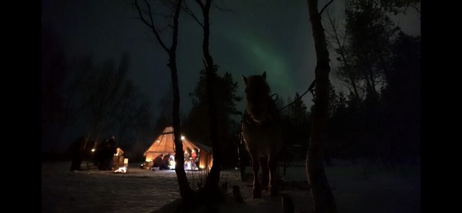 Horse riding and dining experience - Key points to know before booking