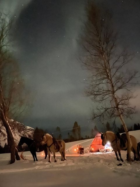 Horse riding and dining experience - A quiet horse ride outside Alta
