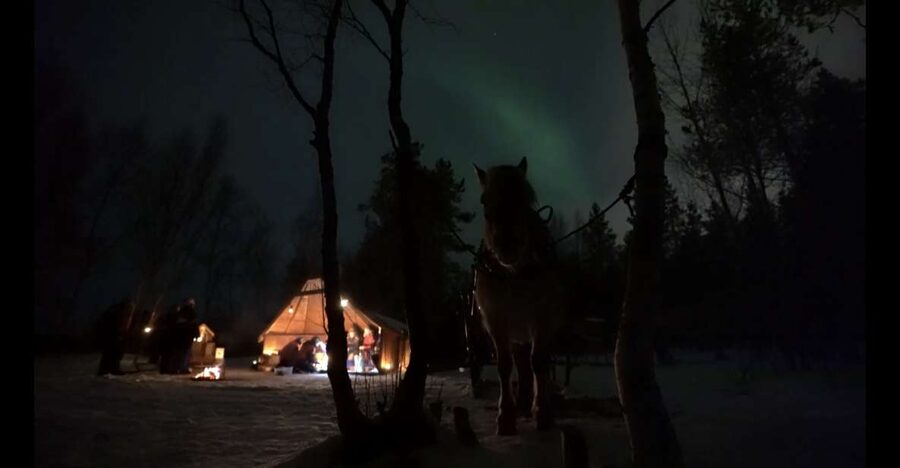 Horse riding and dining experience - Forest paths, river views, and sleigh bells