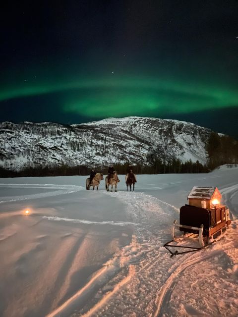 Horse riding and dining experience - Getting acquainted with your Fjord horse