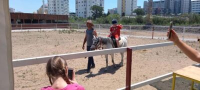 Horse Riding and Training Experience on a Farm in Antalya