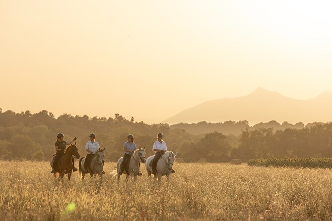 Horse Riding and Wine Tasting Experience - Key points at a glance