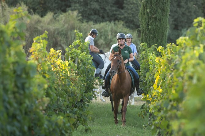 Horse Riding and Wine Tasting Experience - From Cal Robusto to the Catalan countryside