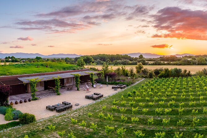 Horse Riding and Wine Tasting Experience - The short move from stable to winery