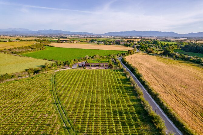 Horse Riding and Wine Tasting Experience - Weather, timing, and what to bring