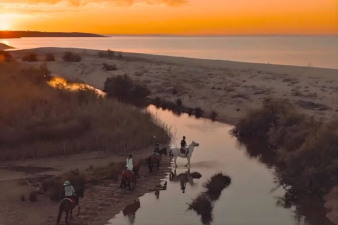 Horse Riding at the Beach in Orosei - From coastal paths to the dunes