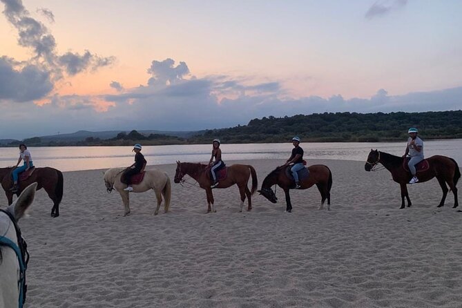 Horse Riding at the Beach in Orosei - Is $105.86 a fair price?