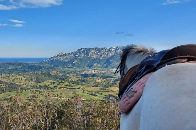 Horse Riding at the Beach in Orosei - Practical details before you book