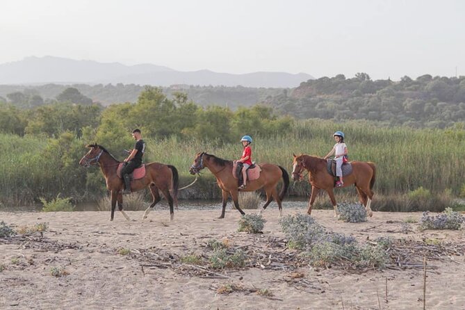 Horse Riding at the Beach in Orosei - Should you book the Orosei beach horse ride?