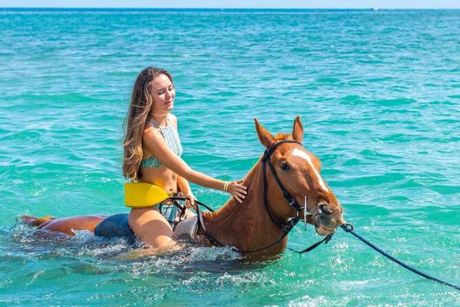 Horse Riding Beach or Desert with transfer from Sharm El Sheikh - What happens at the equestrian center