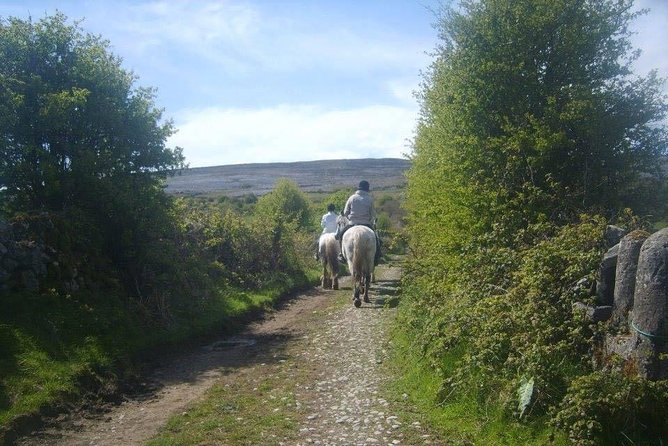 Horse riding - Burren Trail. Lisdoonvarna, Co Clare. Guided. 3 hours. - What the three or four hours feel like